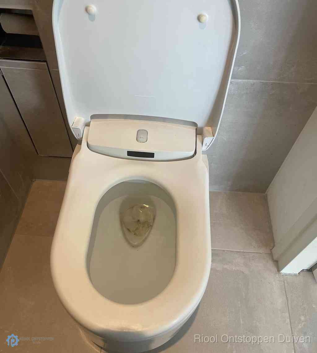 Toilet Ontstoppen Duiven Toilet Ontstoppen Duiven